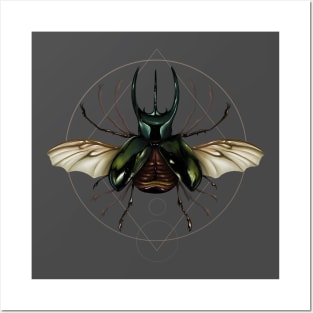 Vitruvian Beetle Posters and Art